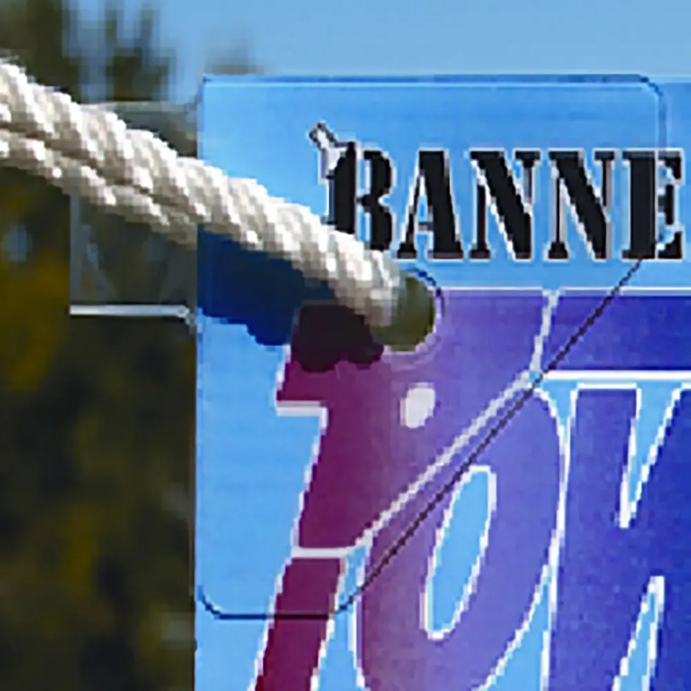 100 Tabs of POWERTABS by Budnick