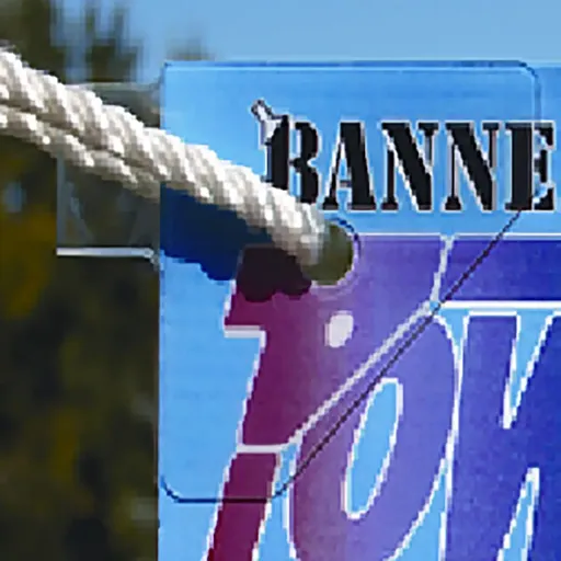 100 Tabs of POWERTABS by Budnick